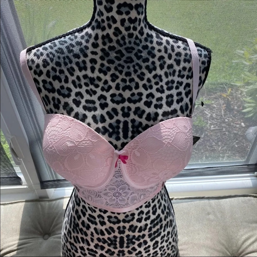 Frosting bra 38D NWT PINK FROSTING